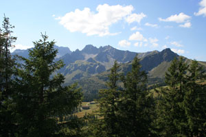 fellhorn